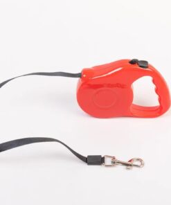 Correa extensible Lisa 3 metros