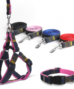 Combo correa pretal y collar