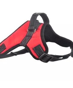 Arnés cazador liso talle S