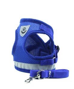 Correas Collares y +